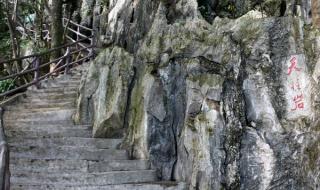 肇庆七星岩旅游攻略 肇庆七星岩旅游攻略