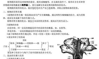 八年级生物复习提纲 八年级生物复习提纲